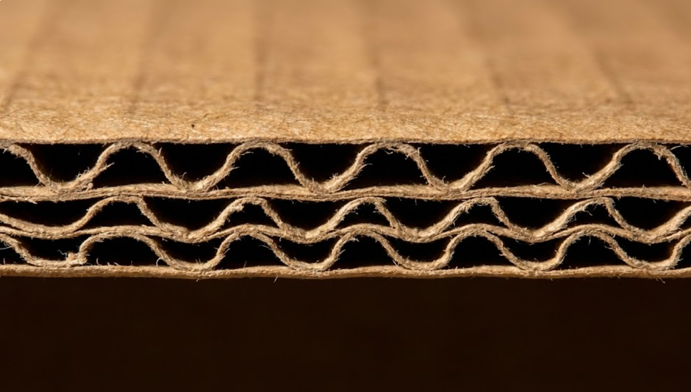 Macro cross-section of E-flute corrugated cardboard showing dense wavy layers.
