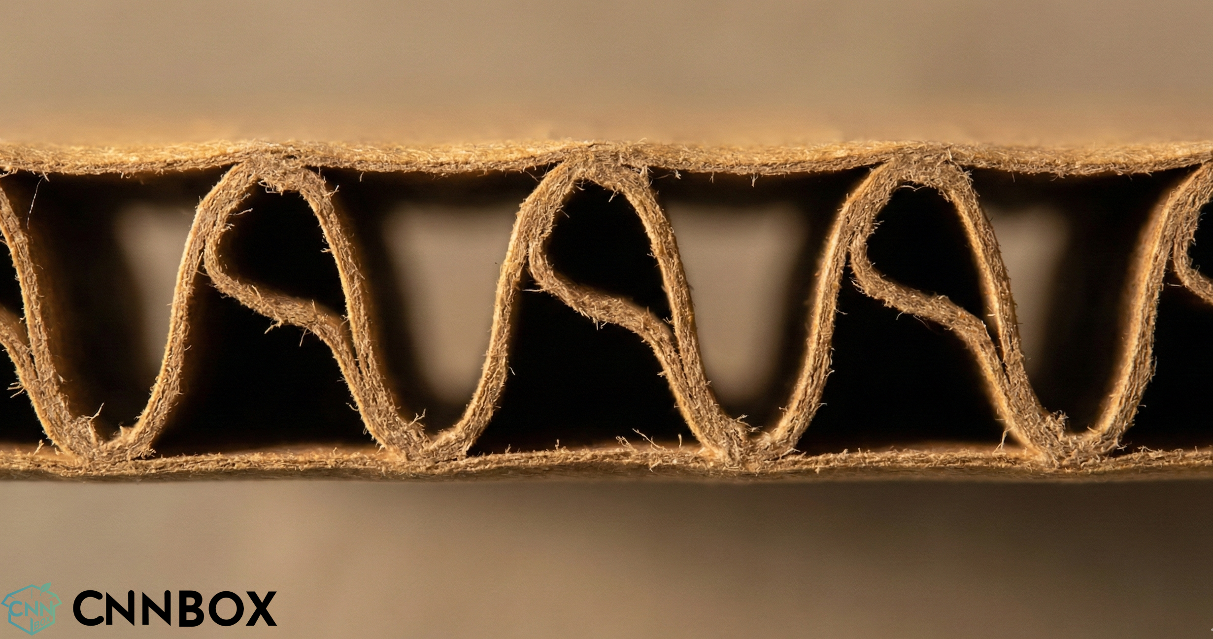 S structural shape of corrugated cardboard