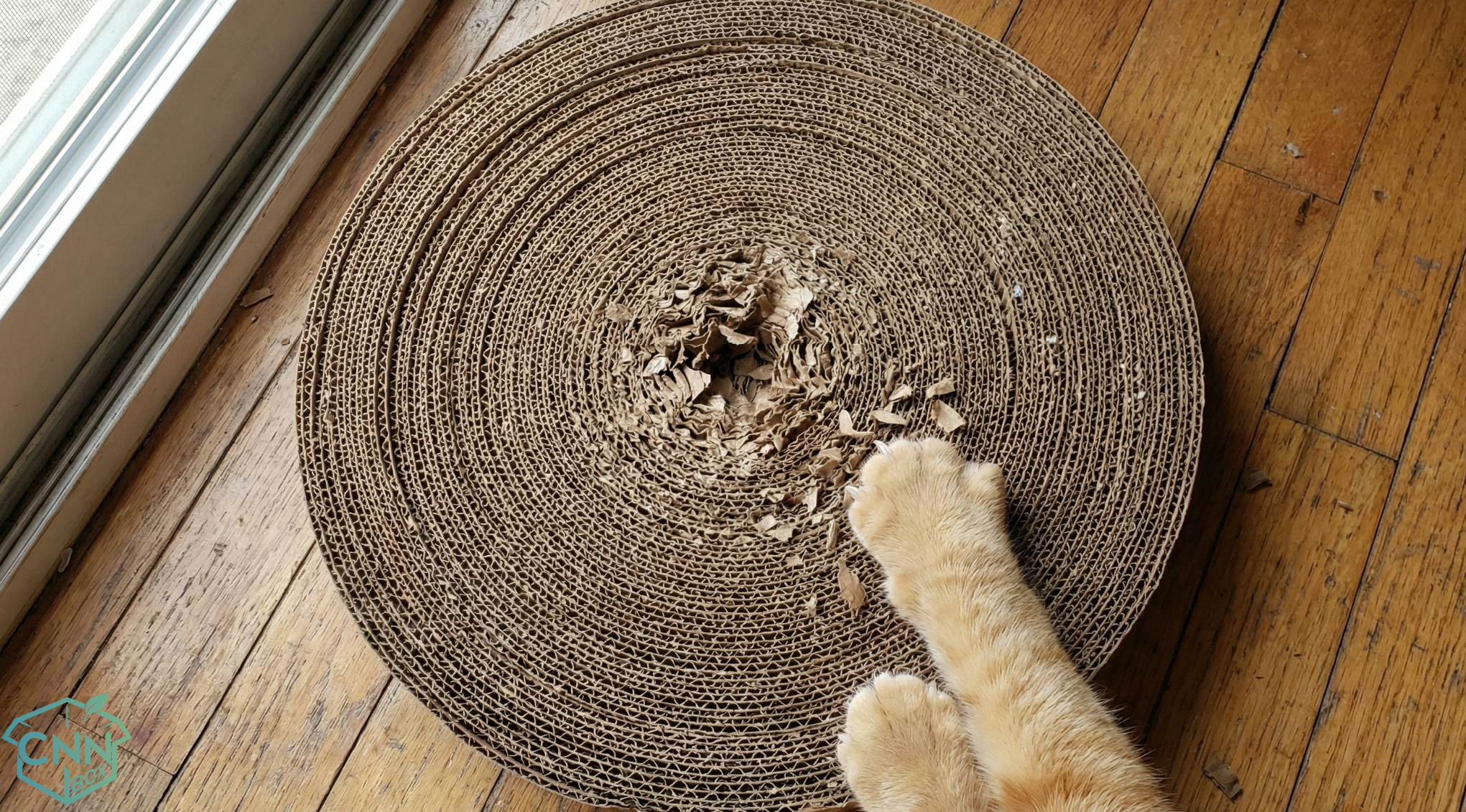 reuse corrugated cardboard to make cat scratcher